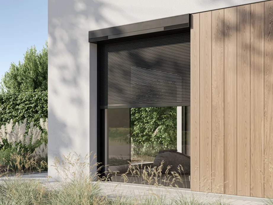 Winsol Modern Final Mid Close Up Variant 3cm